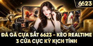 Đá Gà Cựa Sắt 6623 - Kèo Realtime 3 Cửa Kịch Tính