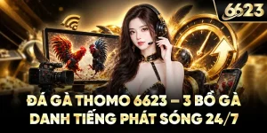 Đá Gà Thomo 6623 - 3 Bồ Gà Danh Tiếng Phát Sóng 24/7