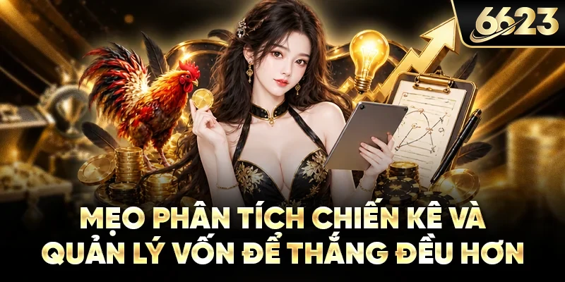 Mẹo phân tích chiến kê và quản lý vốn để thắng đều hơn