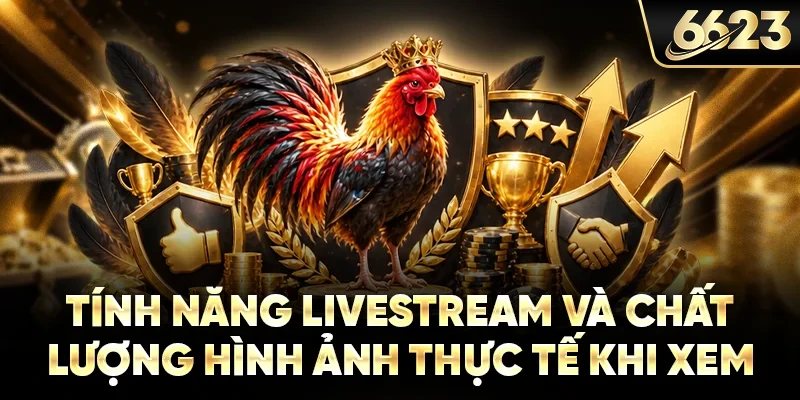 Tính năng livestream và chất lượng hình ảnh thực tế khi xem